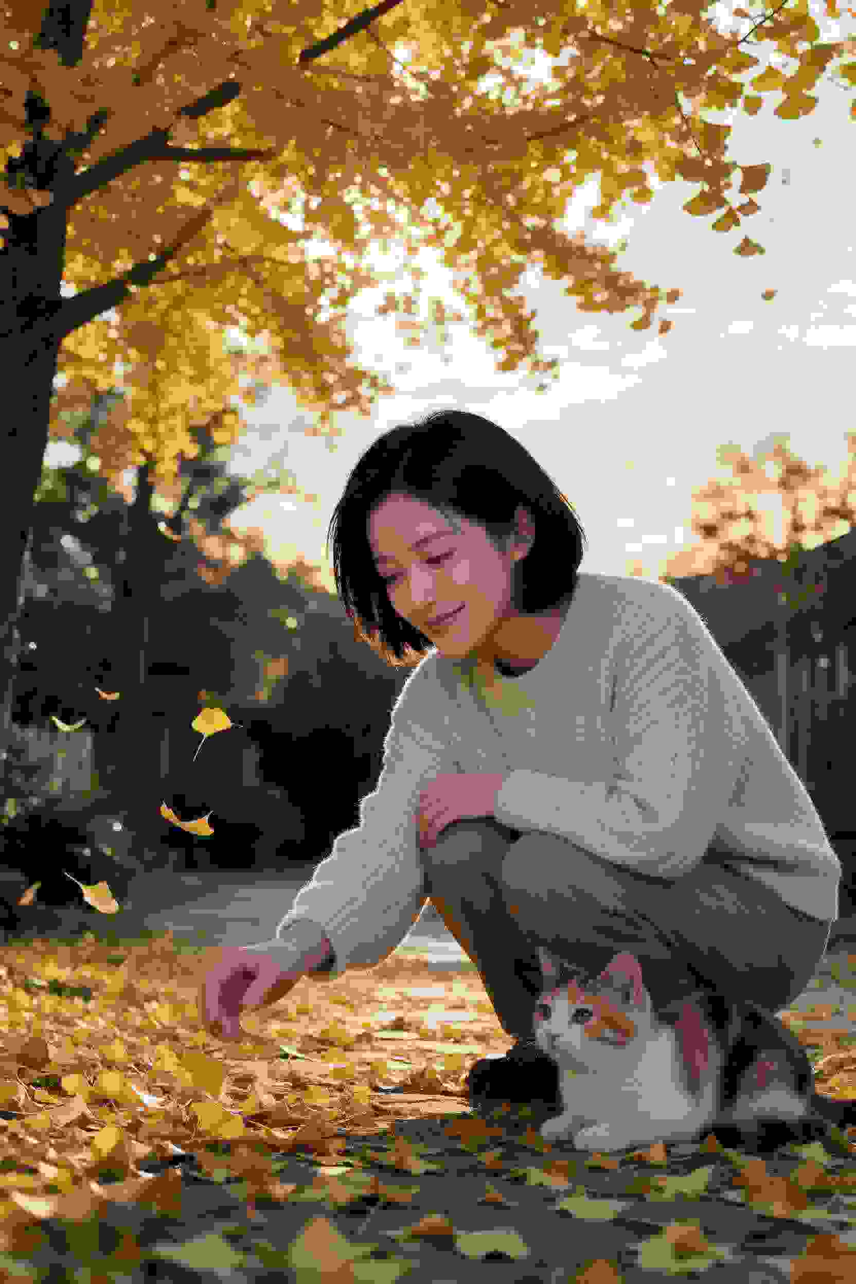 秘密花园